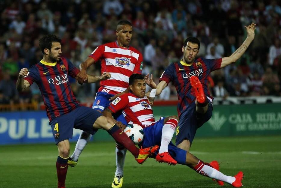 示出与联盟 示出与联盟